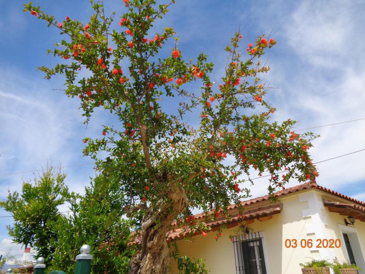 Traditional Guesthouse Asimakis Anifion エクステリア 写真